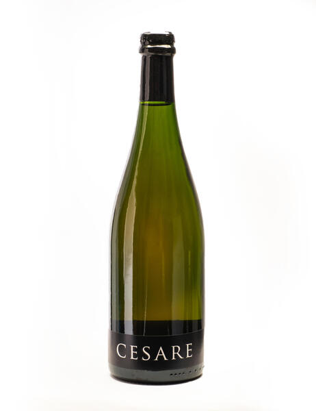 plp_product_/wine/piana-dei-castelli-cesare-2016