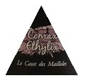 plp_product_/wine/casot-des-mailloles-comax-ethylix-2015