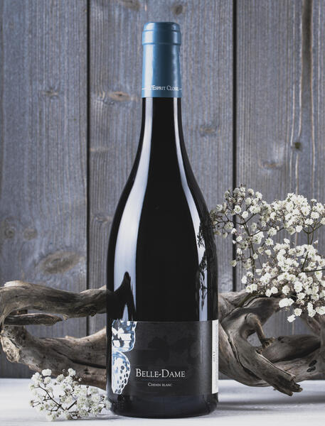 plp_product_/wine/domaine-du-closel-belle-dame-2017