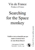 Searching for the Space monkey