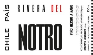 plp_product_/wine/roberto-henriquez-rivera-del-notro-2019