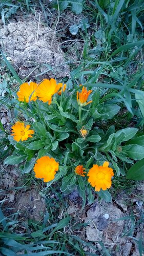 gallery_imgs