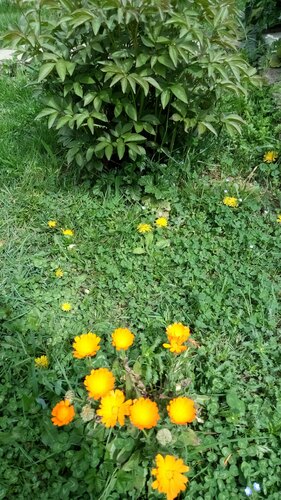 gallery_imgs