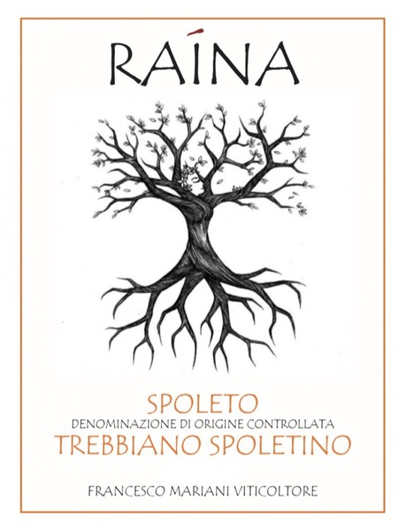 plp_product_/wine/raina-trebbiano-spoletino-doc-2020