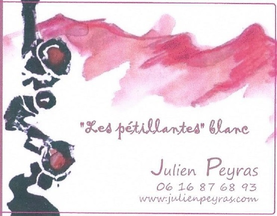 plp_product_/wine/julien-peyras-les-petillantes-blanc-2019