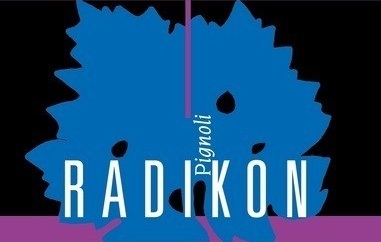 plp_product_/wine/radikon-pignoli-2004