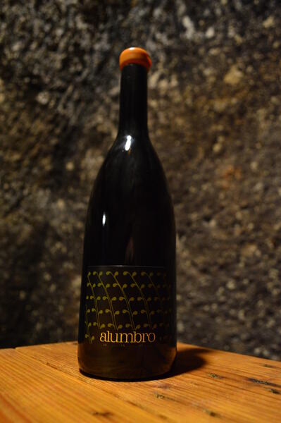 plp_product_/wine/la-microbodega-del-alumbro-berretes-2020
