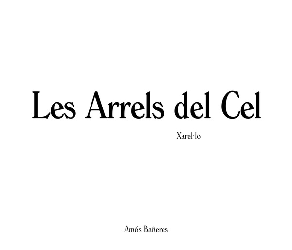 plp_product_/wine/amos-baneres-vinyero-les-arrels-del-cel-2015
