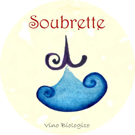 plp_product_/wine/terre-del-ving-podere-borgaruccio-rosso-costa-toscana-igt-soubrette-2016