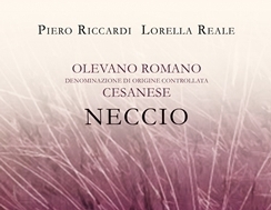 plp_product_/wine/cantine-riccardi-reale-neccio-2017