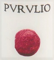 plp_product_/wine/purulio-purulio-2018