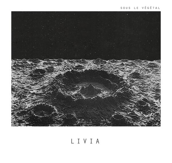 plp_product_/wine/sous-le-vegetal-livia-2019