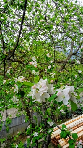 gallery_imgs