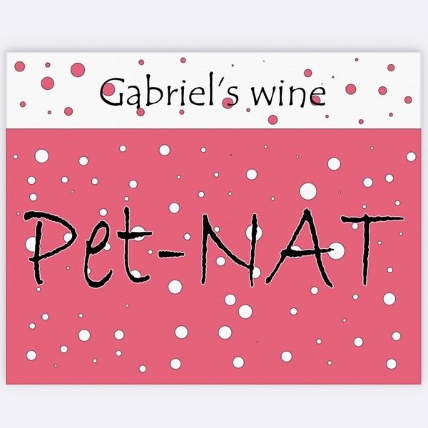 plp_product_/wine/gabriel-s-wine-tavkveri-2024