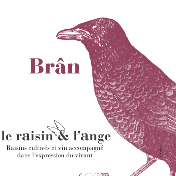 plp_product_/wine/le-raisin-et-l-ange-bran-2021