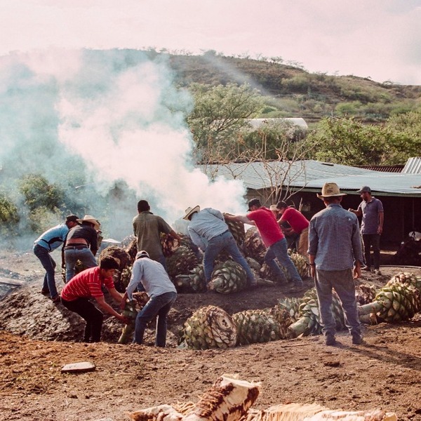 plp_product_/profile/mezcal-neta-sa-de-cv