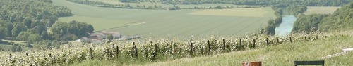 gallery_imgs