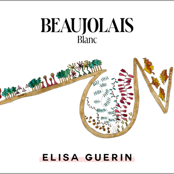 plp_product_/wine/elisa-guerin-beaujolais-blanc-aop-2025