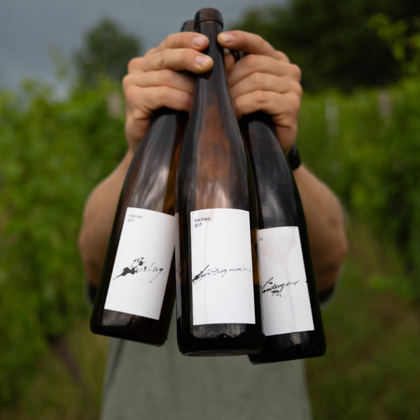 plp_product_/wine/kleines-gut-riesling-2024