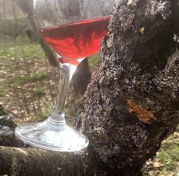 plp_product_/wine/pataridze-s-rachuli-pataridze-s-rachuli-2019