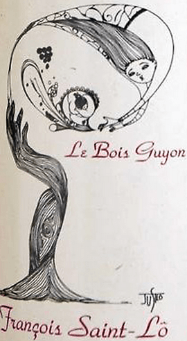 plp_product_/wine/domaine-francois-saint-lo-bois-guyon-2016