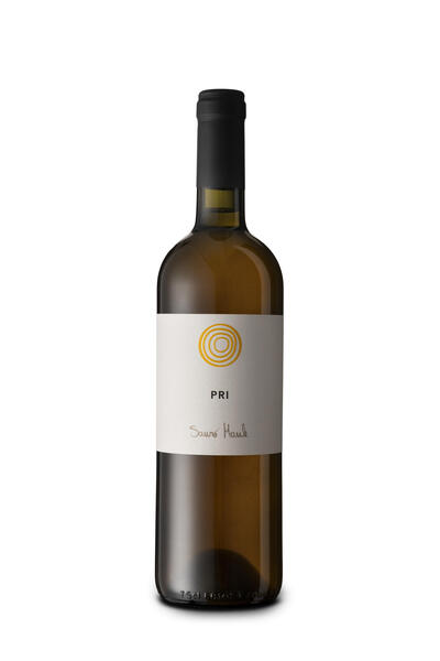 plp_product_/wine/il-cavallino-di-maule-sauro-pri-2020