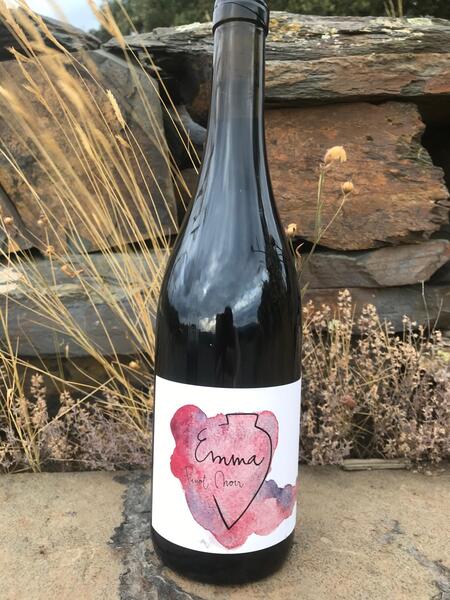 plp_product_/wine/vega-aixala-emma-pinot-noir-2021