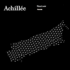 plp_product_/wine/achillee-pinot-noir-granite-2017