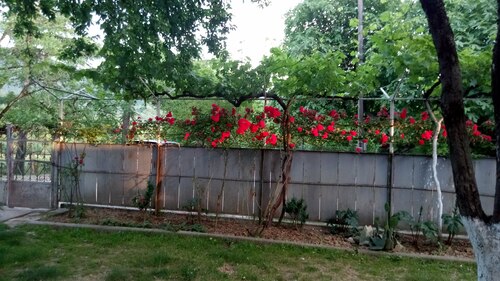 gallery_imgs