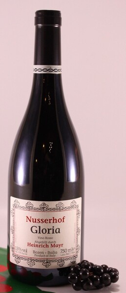 plp_product_/wine/nusserhof-gloria-2011