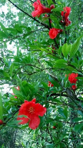 gallery_imgs