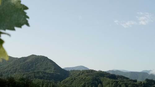gallery_imgs