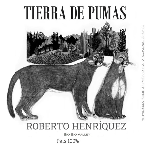 plp_product_/wine/roberto-henriquez-tierra-de-pumas-2020