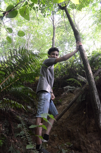 gallery_imgs