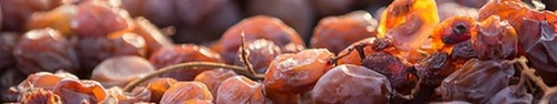 gallery_imgs