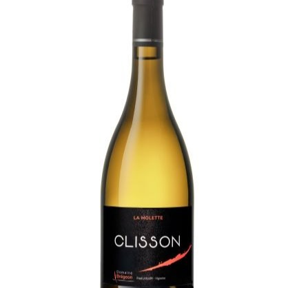 plp_product_/wine/domaine-bregeon-clisson-2020