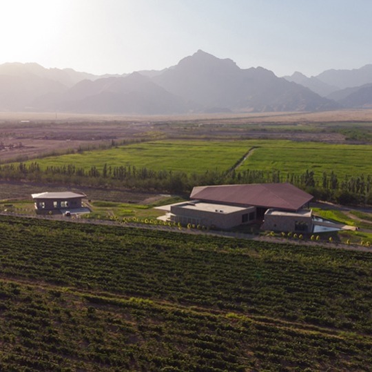 plp_product_/profile/ningxia-gaoyuan-silver-heights-vineyard-co-ltd
