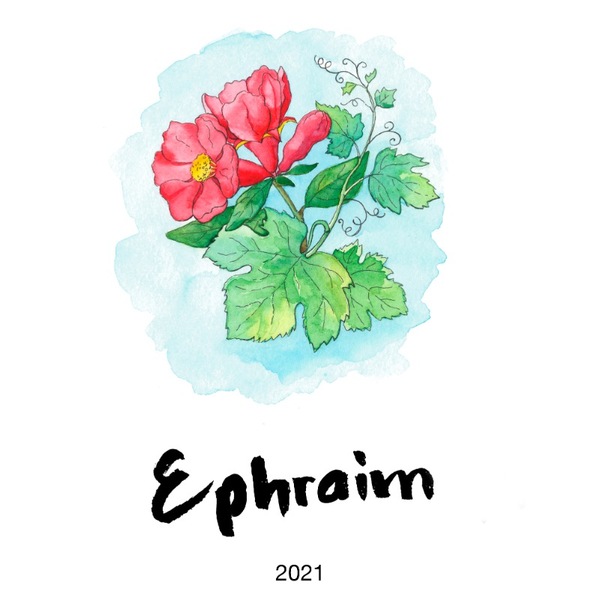 plp_product_/wine/sifer-wines-ephraim-2021