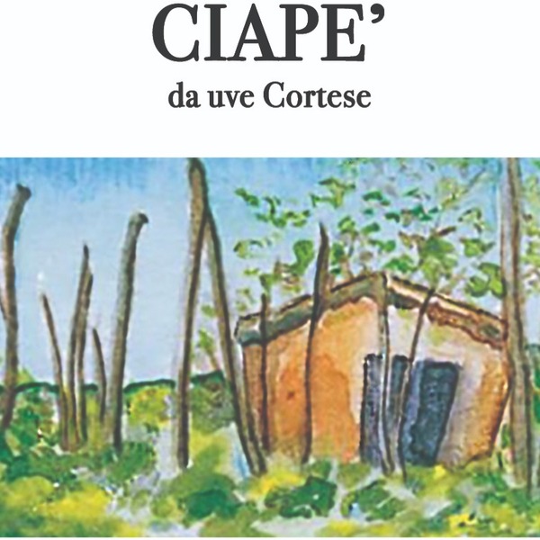 plp_product_/wine/valli-unite-ciape-2021-white