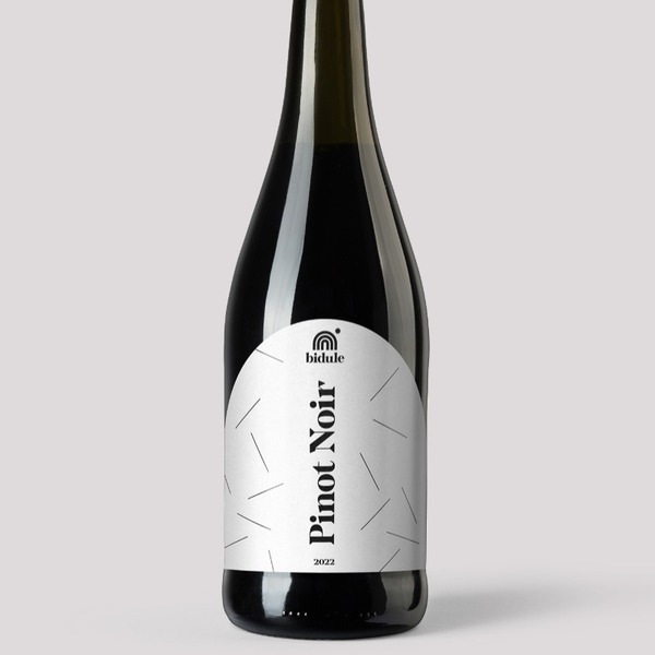 plp_product_/wine/bidule-pinot-noir-2022