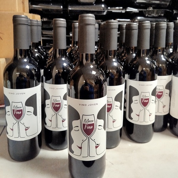 plp_product_/wine/bodegas-vina-aranda-slu-morro-fino-tinto-2024-young-wine
