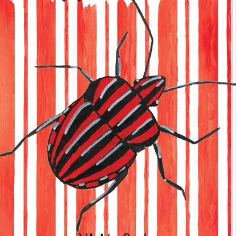 plp_product_/wine/dassemus-wijngaard-wilde-rode-21-22