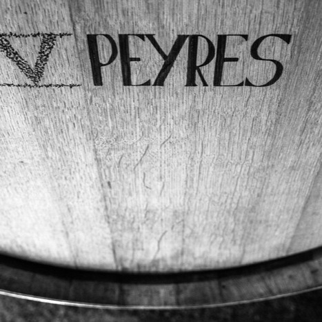 plp_product_/profile/domaine-cinq-peyres