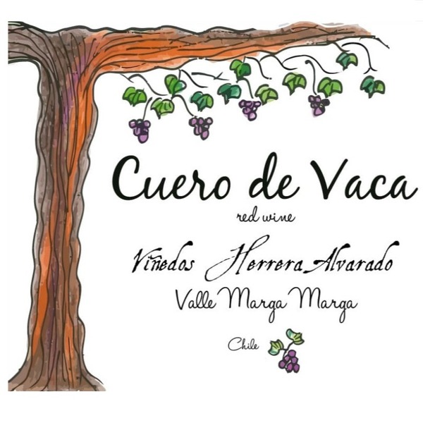 plp_product_/wine/vinedos-herrera-alvarado-cuero-de-vaca-2021