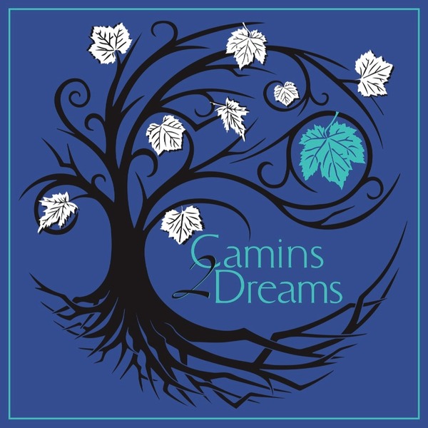 plp_product_/wine/camins-2-dreams-2021-gamay