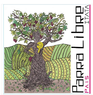 plp_product_/wine/vitivinicola-chodin-param-parra-libre-2022-red-zinc