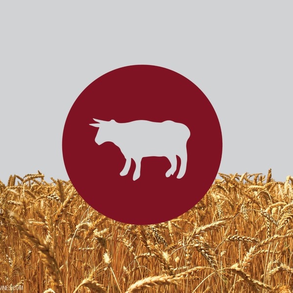 plp_product_/wine/meinklang-stillwater-x-meinklang-spelt-farmhouse