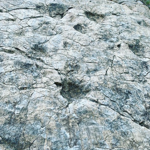 gallery_imgs