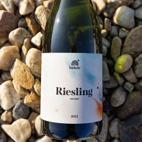 plp_product_/wine/bidule-riesling-strani-2022