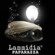 plp_product_/wine/lammidia-paparazza-2021